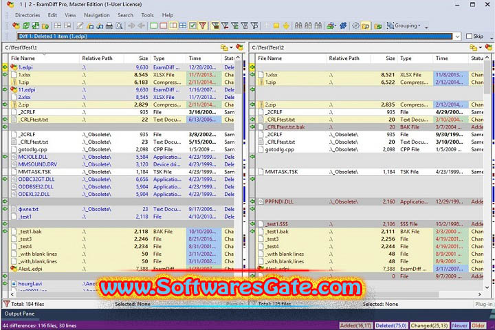 ExamDiff Pro Master Edition - 15.0.1.10 (x64) 