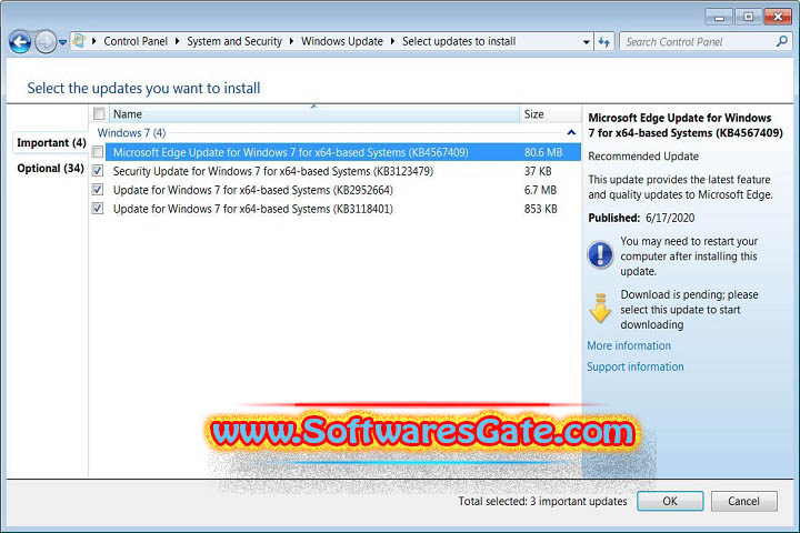Microsoft Edge Enterprise 1.0 (X64) Software