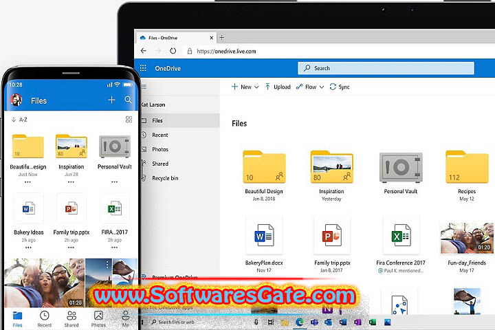 OneDrive 1.0 Software