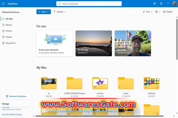 OneDrive 1.0 Software