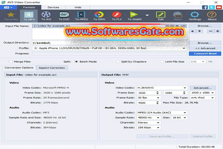 AVS Video Converter : Version 13.0.4.723 (Software)