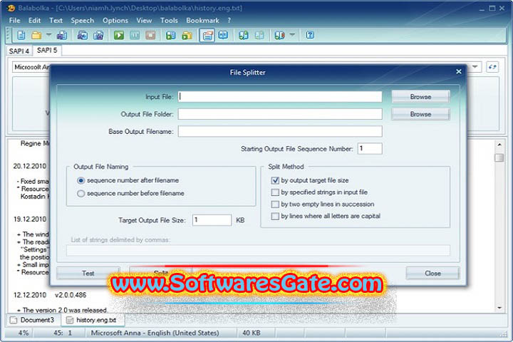 Balabolka : Version 2.15.0.877 (Software) Balabolka : Version 2.15.0.877 (Software)