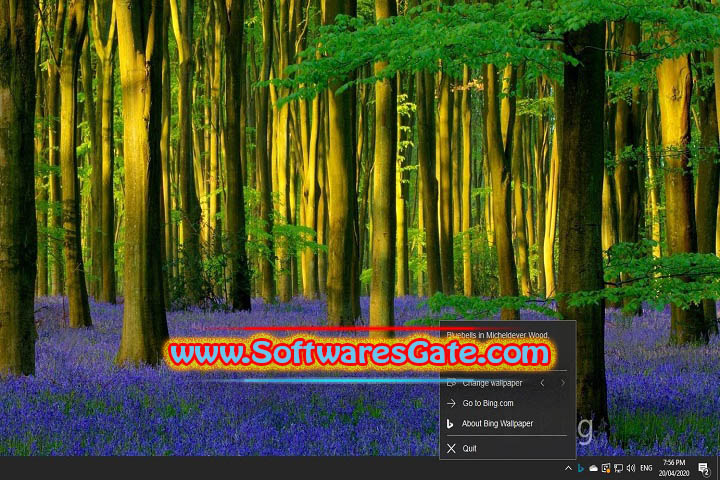 Bing Wallpaper : Version 2.0.0.8 (Software)
