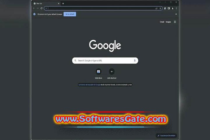 Chromium : Version 131.0.6737.0 (Latest Software)