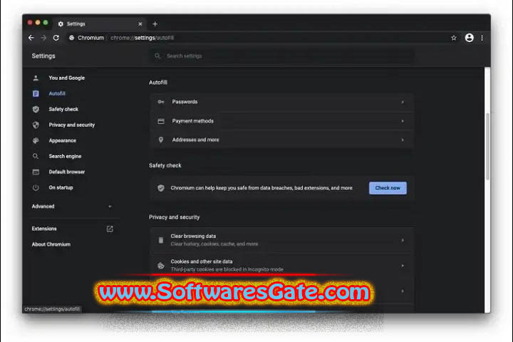 Chromium : Version 131.0.6737.0 (Latest Software)