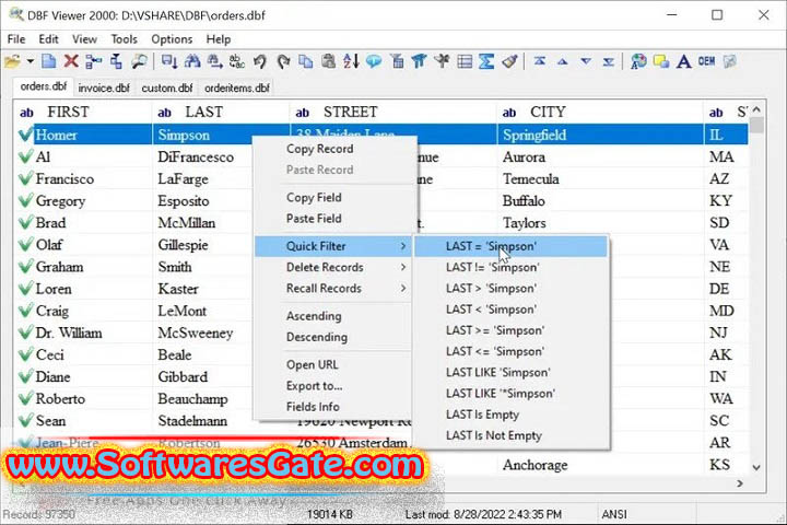 DBF Viewer : Version 2000 v8.42 (Software)