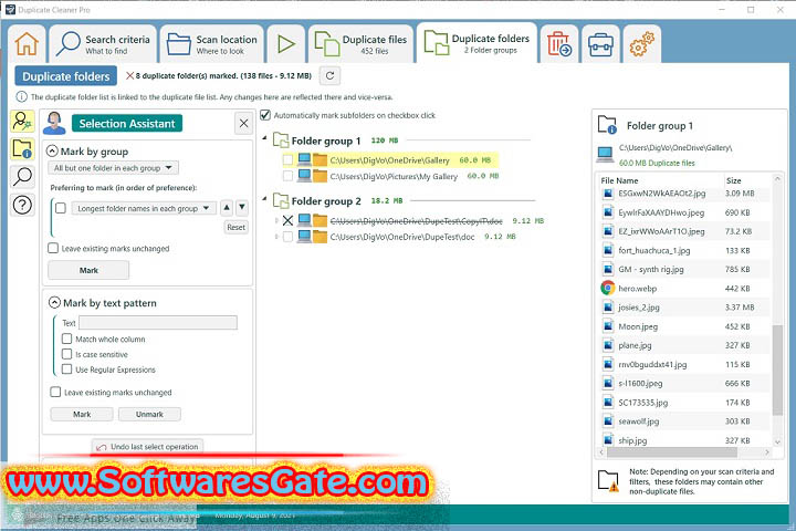 DigitalVolcano Duplicate Cleaner Pro : Version 5.23.0 (Software)