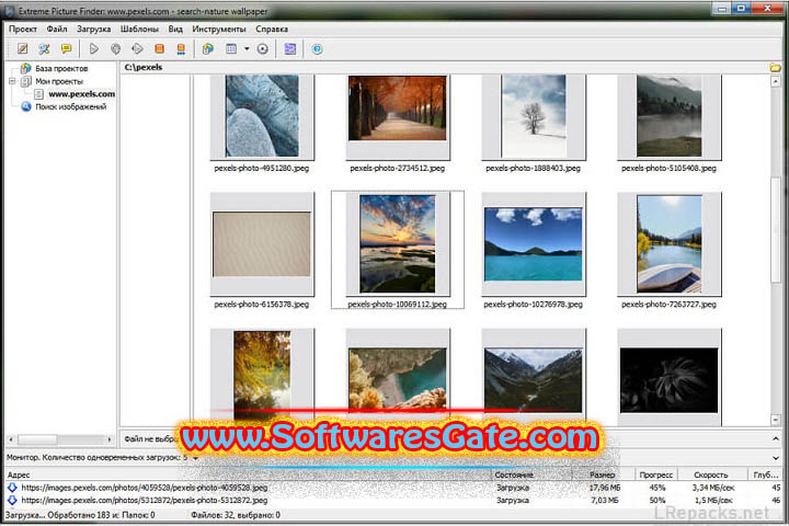 Extreme Picture Finder : Version 3.66.7 (Software)