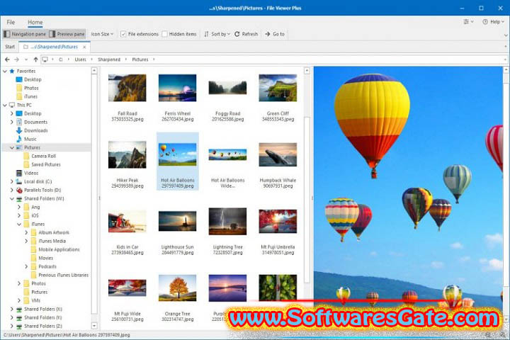 File Viewer Plus : Version 5.3.0.40 (Latest Software)