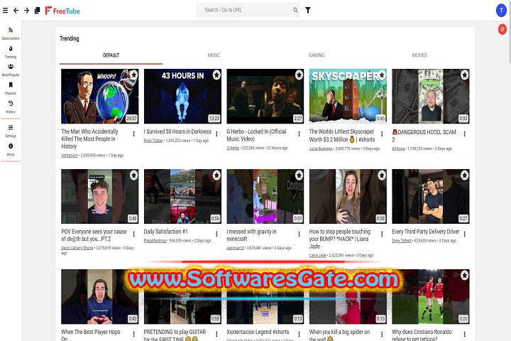Freetube : Version 0.21.3 (Software) Freetube : Version 0.21.3 (Software)