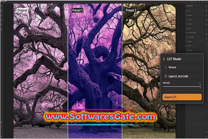 Irix HDR Classic Pro : Version 2.3.32 (Latest Software)