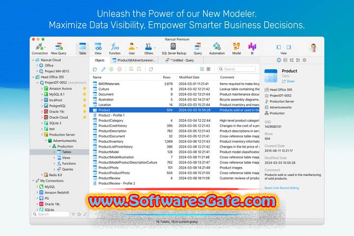Navicat Premium : Version 17.0.13 (x64) (Software)
