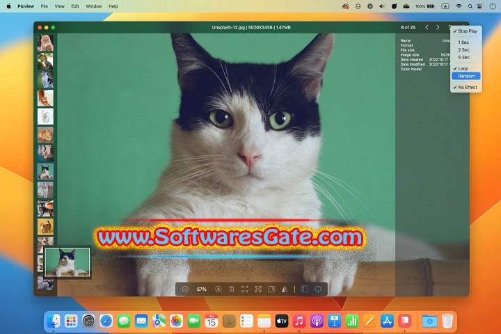 PicView : Version v2.3.1 (Software) PicView : Version v2.3.1 (Software)