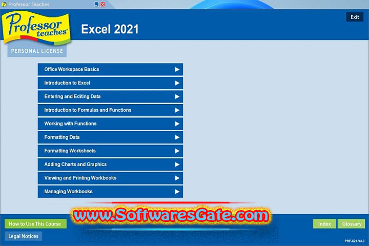 Professor Teaches Excel : Version 2021 v5.1 (Latest Software)