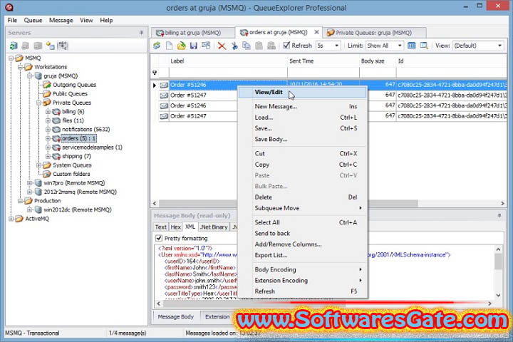 QueueExplorer Professional : Version 5.0.44 (Software)
