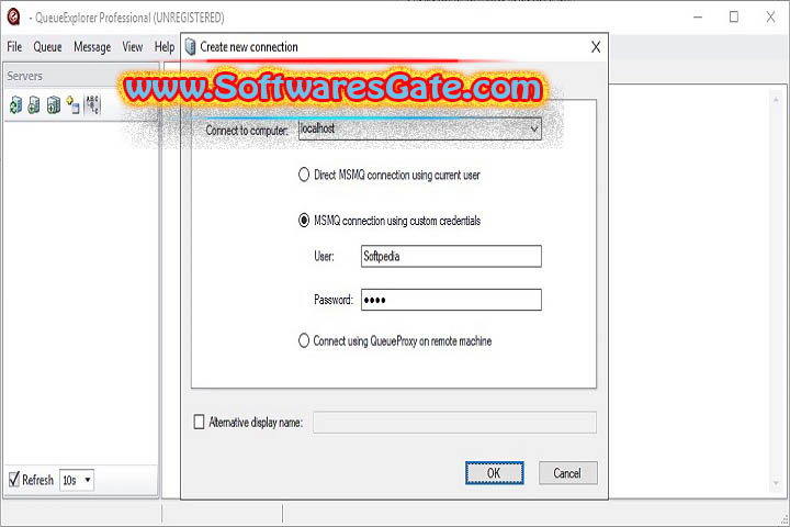QueueExplorer Professional : Version 5.0.44 (Software)