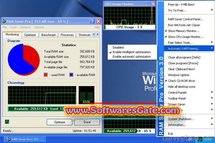 RAM Saver Professional : Version 24.8.0 (Software)