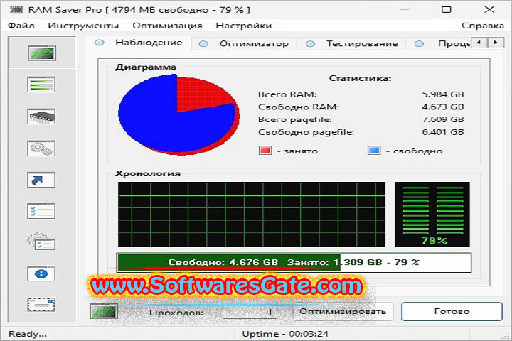 RAM Saver Professional : Version 24.8.0 (Software)