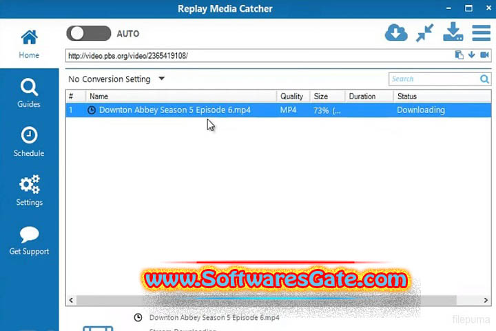 Replay Media Catcher : Version 2024.8.1.24 (Latest Software)