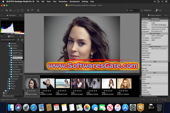 SILKYPIX Developer Studio Pro : Version 11.0.15.0 (Latest Software)