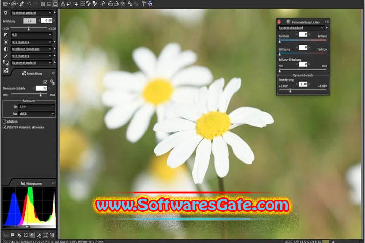 SILKYPIX RAW Converter : Version 1.0.10.0 (Latest Software) SILKYPIX RAW Converter : Version 1.0.10.0 (Latest Software)