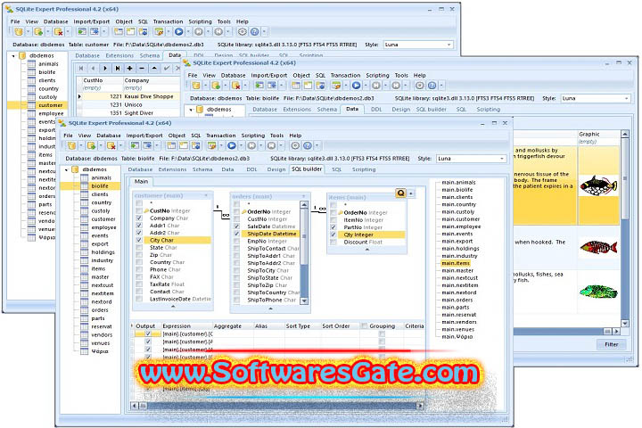 SQLite Expert Professional : Version 5.5.17.628 (x64) (Software) SQLite Expert Professional : Version 5.5.17.628 (x64) (Software)