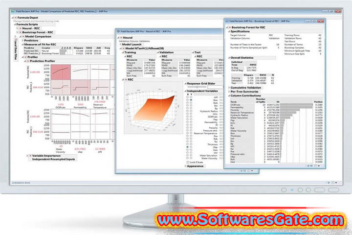 Statistical Discovery JMP Pro : Version 18.0.1 (Software)