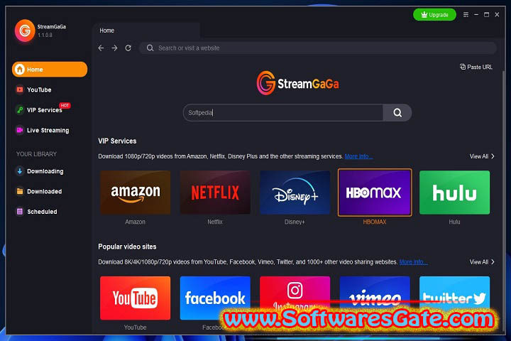 StreamGaGa : Version 1.2.3.1 (x64) (Software) StreamGaGa : Version 1.2.3.1 (x64) (Software)