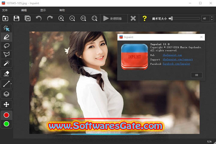 Teorex Inpaint : Version 11.0.1 (Software)