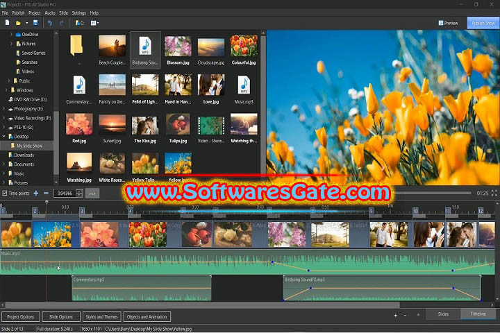 WnSoft PTE AV Studio Pro : Version 11.0.14 (Software)