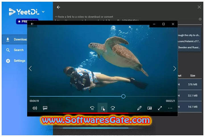 YeetDL Premium : Version 1.2.126 (Software)