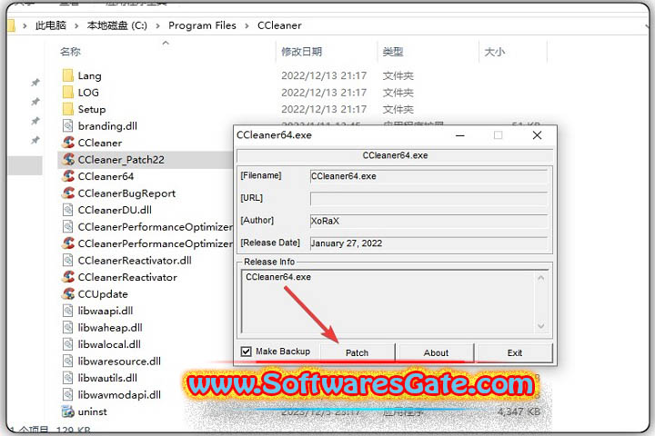 CCleaner Professional Plus : Version 6.28 (Latest Software)