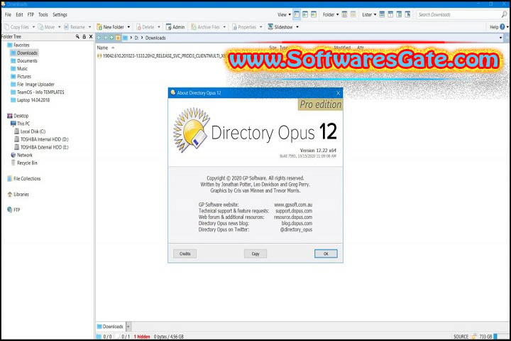 Directory Opus : Version 13.10.2 Build 9021 Beta (Latest Software)
