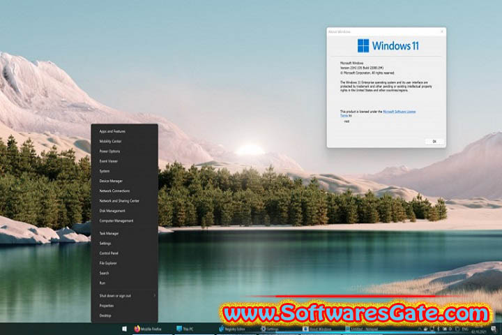 ExplorerPatcher : Version 22621.3880.66.6 (Latest Software)