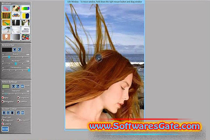 Green Screen Wizard Professional : Version 15.0 (Latest Software)