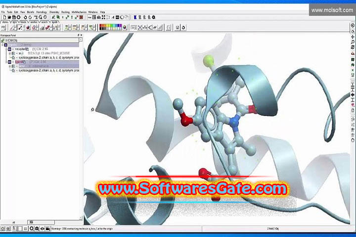 Molsoft ICM-Pro : Version v3.9-4 (Latest Software) Molsoft ICM-Pro : Version v3.9-4 (Latest Software)