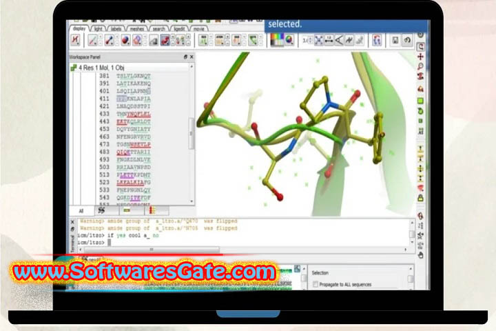 Molsoft ICM-Pro : Version v3.9-4 (Latest Software) Molsoft ICM-Pro : Version v3.9-4 (Latest Software)
