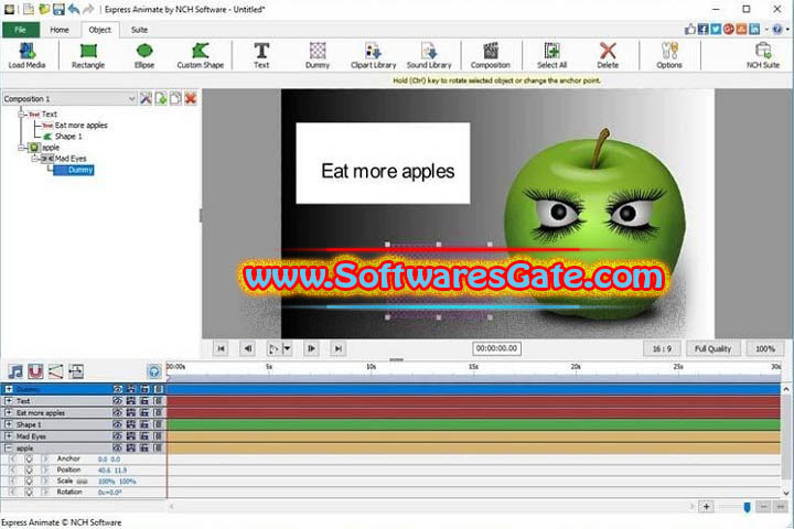 NCH Express Animate : Version 9.48 (Latest Software)