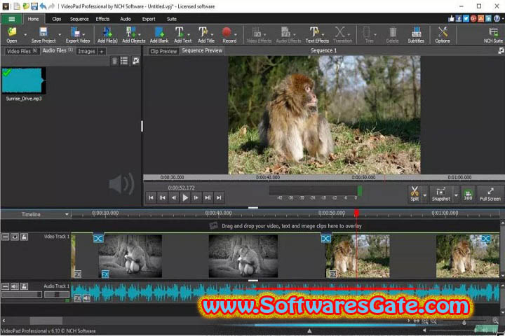NCH VideoPad Pro : Version 16.39 (Latest Software)
