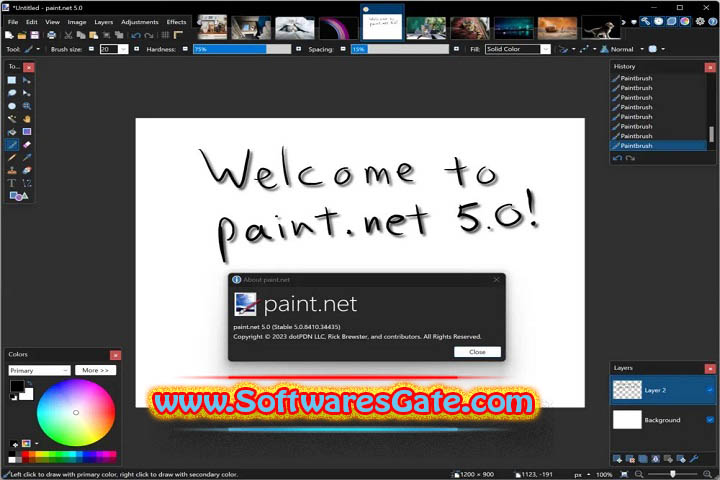 Paint.NET : Version 5.100.9023.10002 (Latest Software)