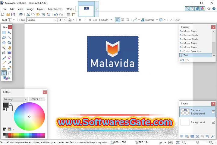Paint.NET : Version 5.100.9023.10002 (Latest Software)