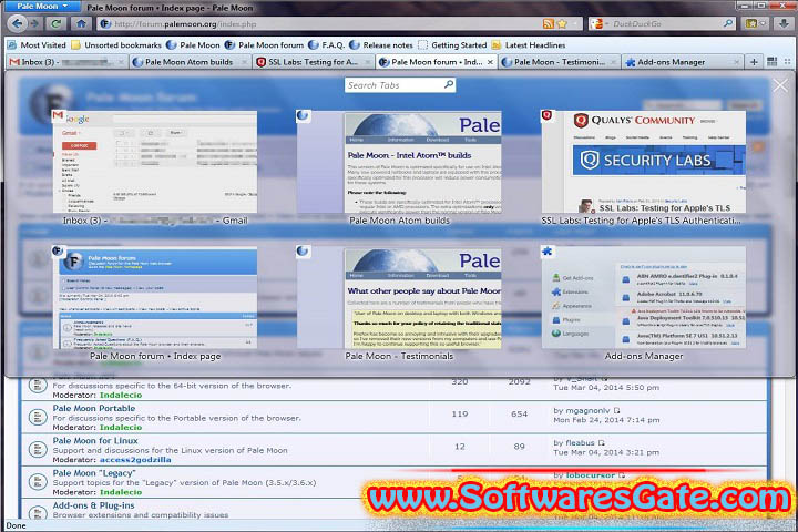Pale Moon : Version 33.3.1 (Latest Software) Pale Moon : Version 33.3.1 (Latest Software)