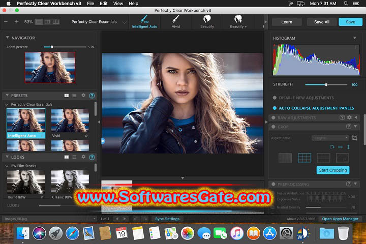 Perfectly Clear WorkBench : Version 4.6.1.2698 (Latest Software)