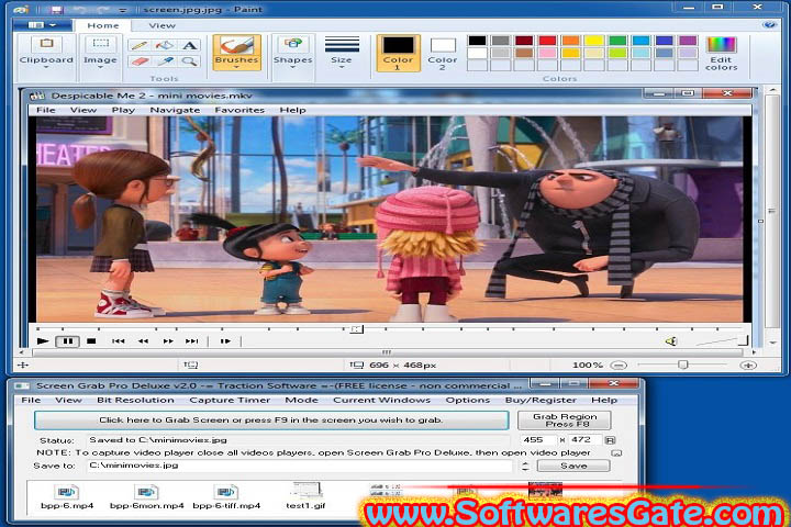 Screen Grab Pro Deluxe : Version 2.04 (Latest Software)