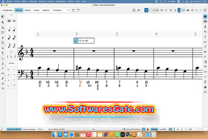 Steinberg Dorico Pro : Version 5.1.51 (Latest Software)