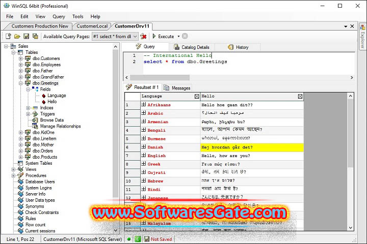 Synametrics Technologies WinSQL : Version 18.0.285 (Latest Software) Synametrics Technologies WinSQL : Version 18.0.285 (Latest Software)