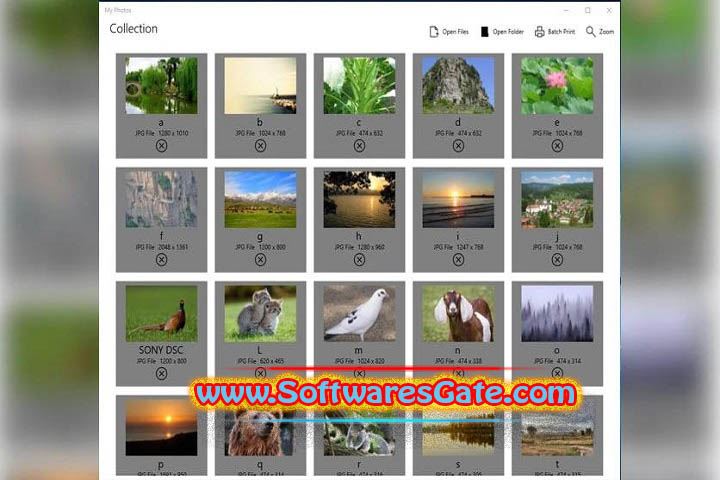 Utilities Tools My Photos : Version 1.1.3.0 (Latest Software)