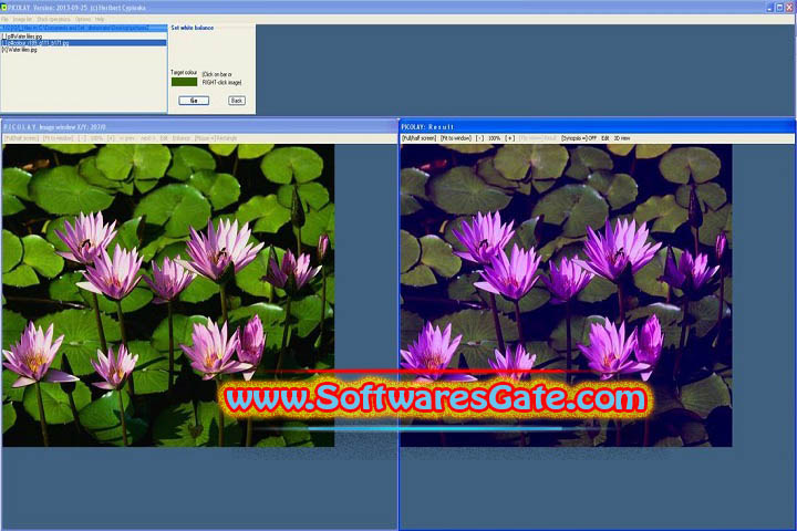 Heribert Cypionka Picolay : Version 24.0.9.06 (Latest Software) Heribert Cypionka Picolay : Version 24.0.9.06 (Latest Software)