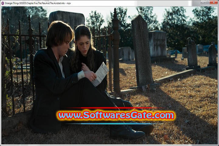 MPV Media Player : Version 0.39.300 (Latest Software)