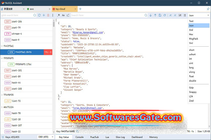 NoSql Assistant : Version 1.1.0.0 (Latest Software) NoSql Assistant : Version 1.1.0.0 (Latest Software)